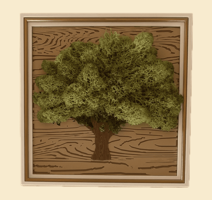 Cadre Arbre De Vie