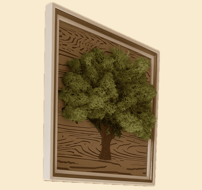 Cadre Arbre De Vie