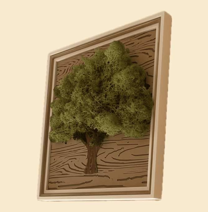 Cadre Arbre De Vie