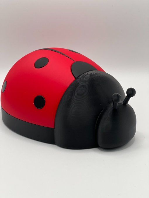 Boite Coccinelle