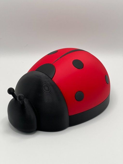 Boite Coccinelle