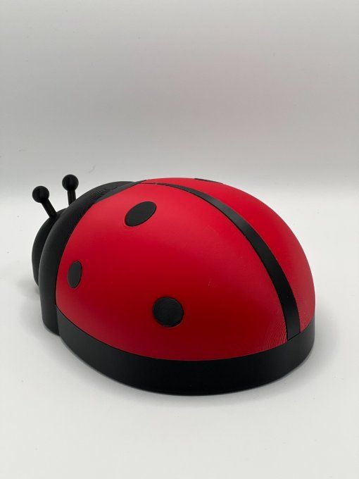 Boite Coccinelle