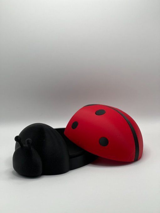 Boite Coccinelle