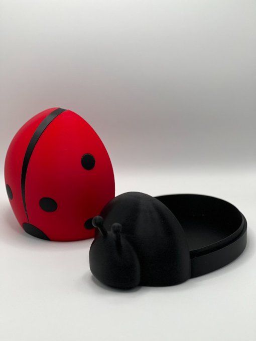 Boite Coccinelle