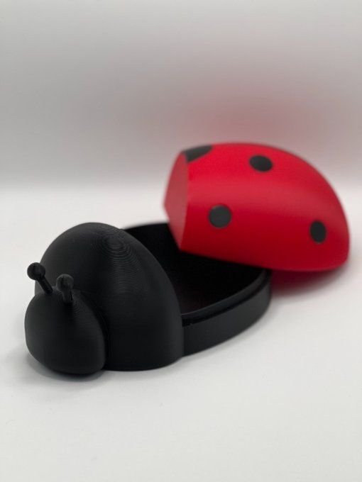 Boite Coccinelle