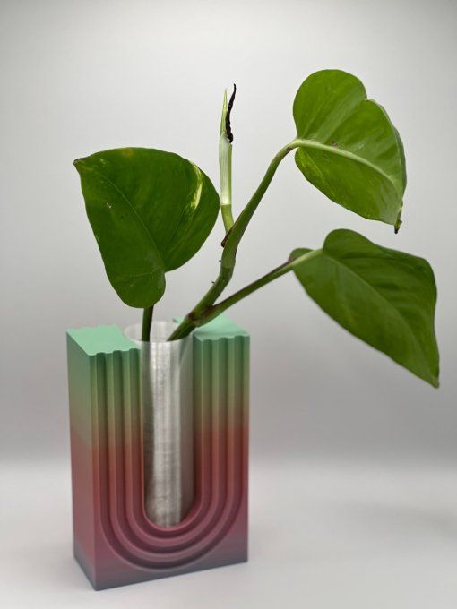 Vase Rainbow