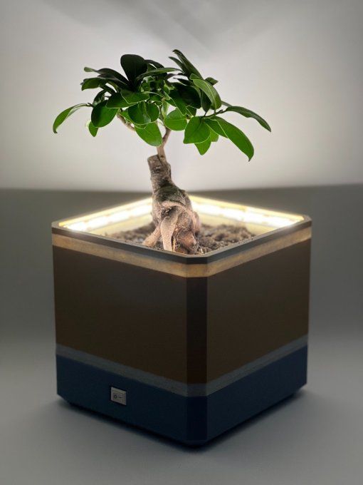 Pot Lampe