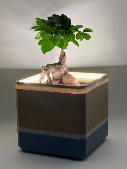 Pot Lampe