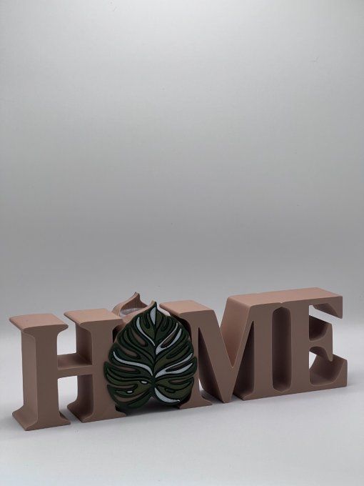HOME Vase Monstera