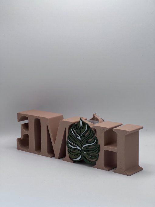 HOME Vase Monstera