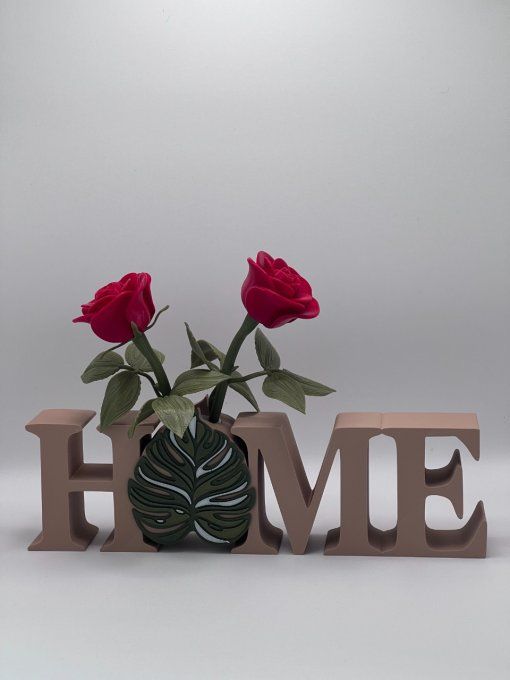 HOME Vase Monstera