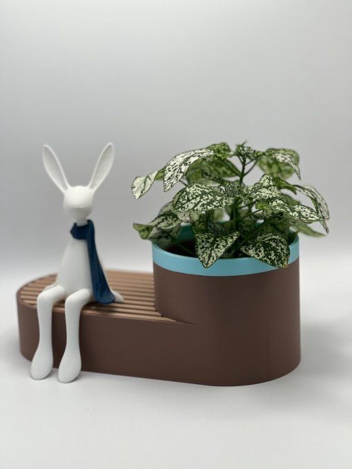 Pot Display 2