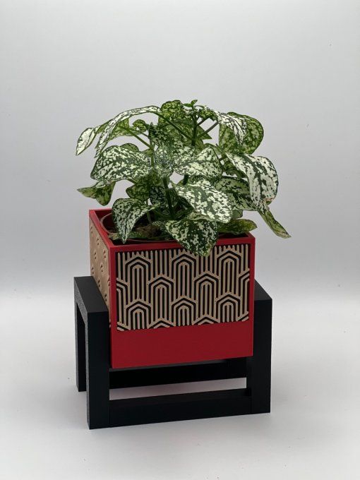 Petit Pot Design