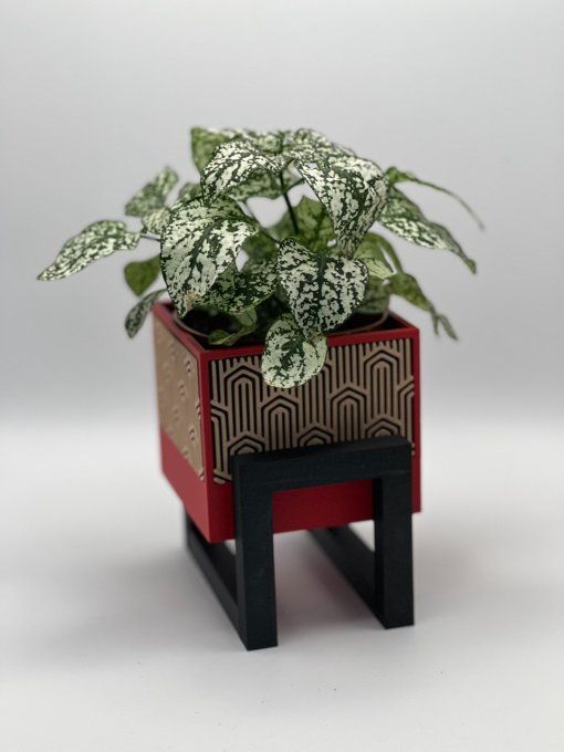 Petit Pot Design