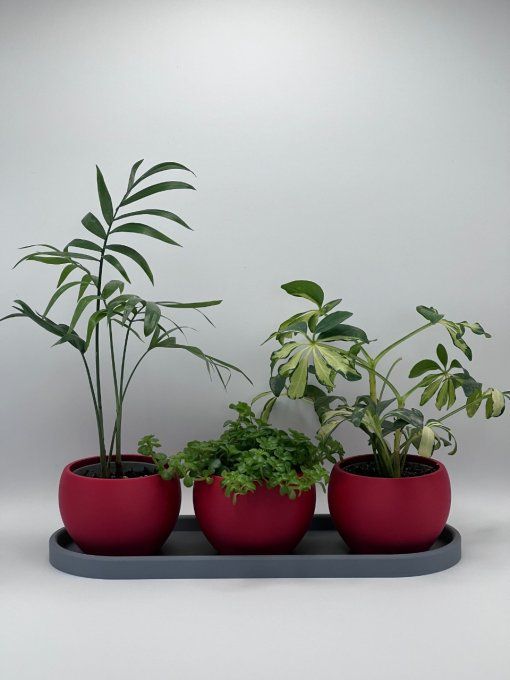 Jardi Mini