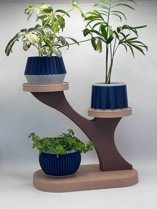 Déco Succulentes
