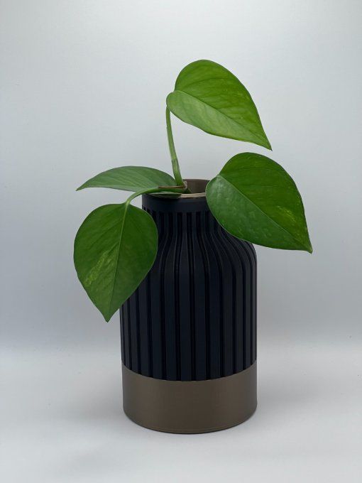 Vase Moderne 1