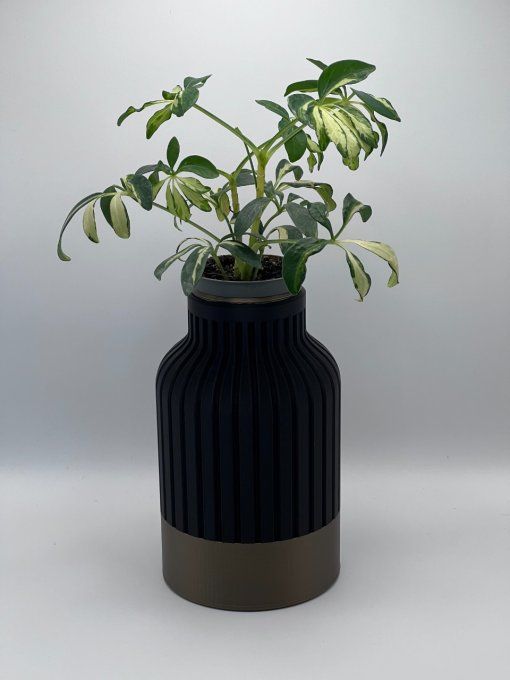 Vase Moderne 1