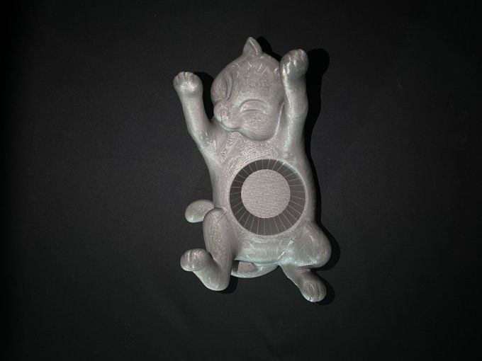 Chat qui "joue"