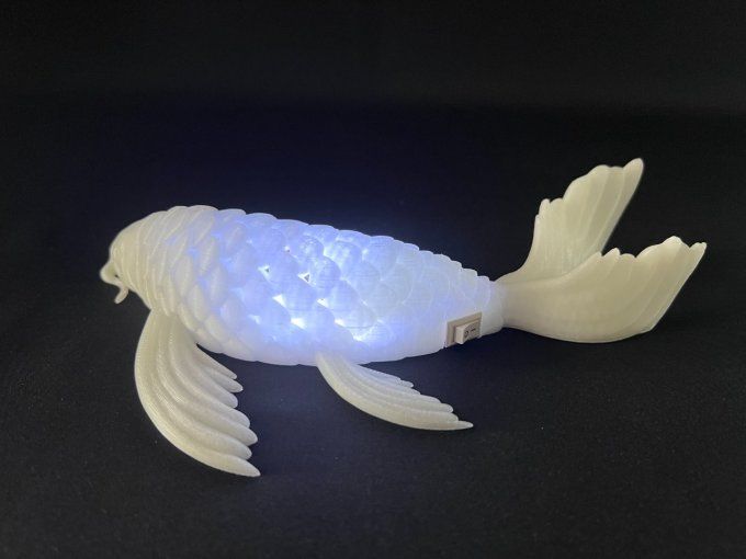 Lampe koï 