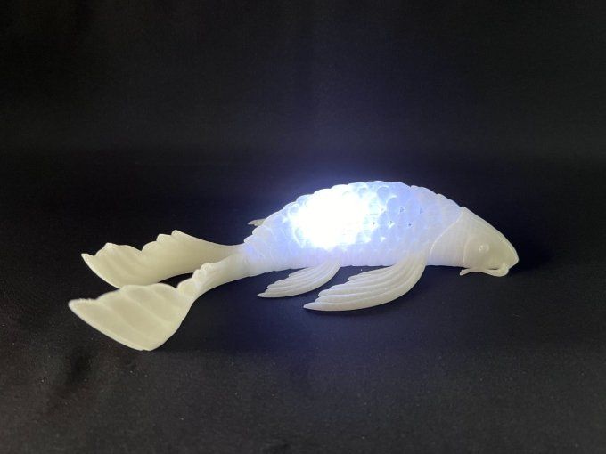 Lampe koï 