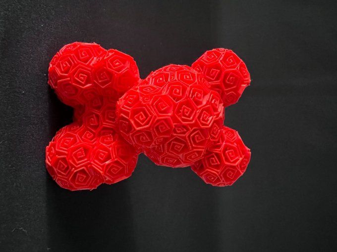 Ourson de Roses