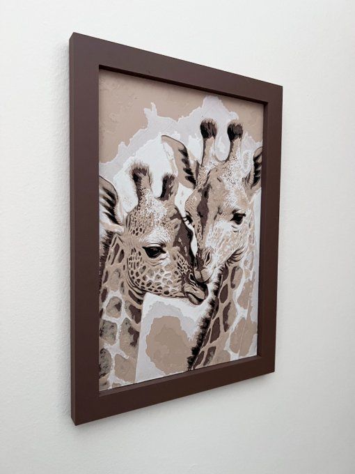 Girafe et son petit