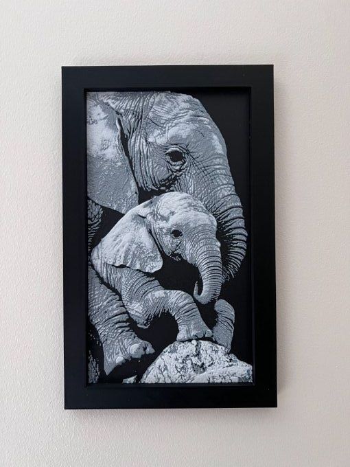 Éléphanteau et sa Maman