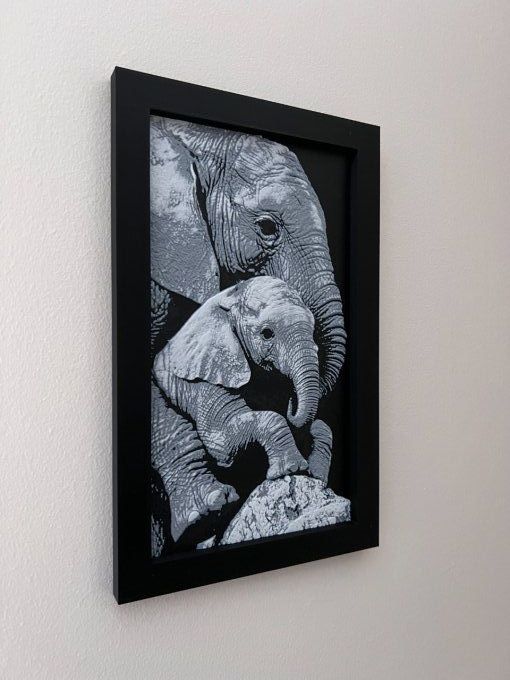 Éléphanteau et sa Maman